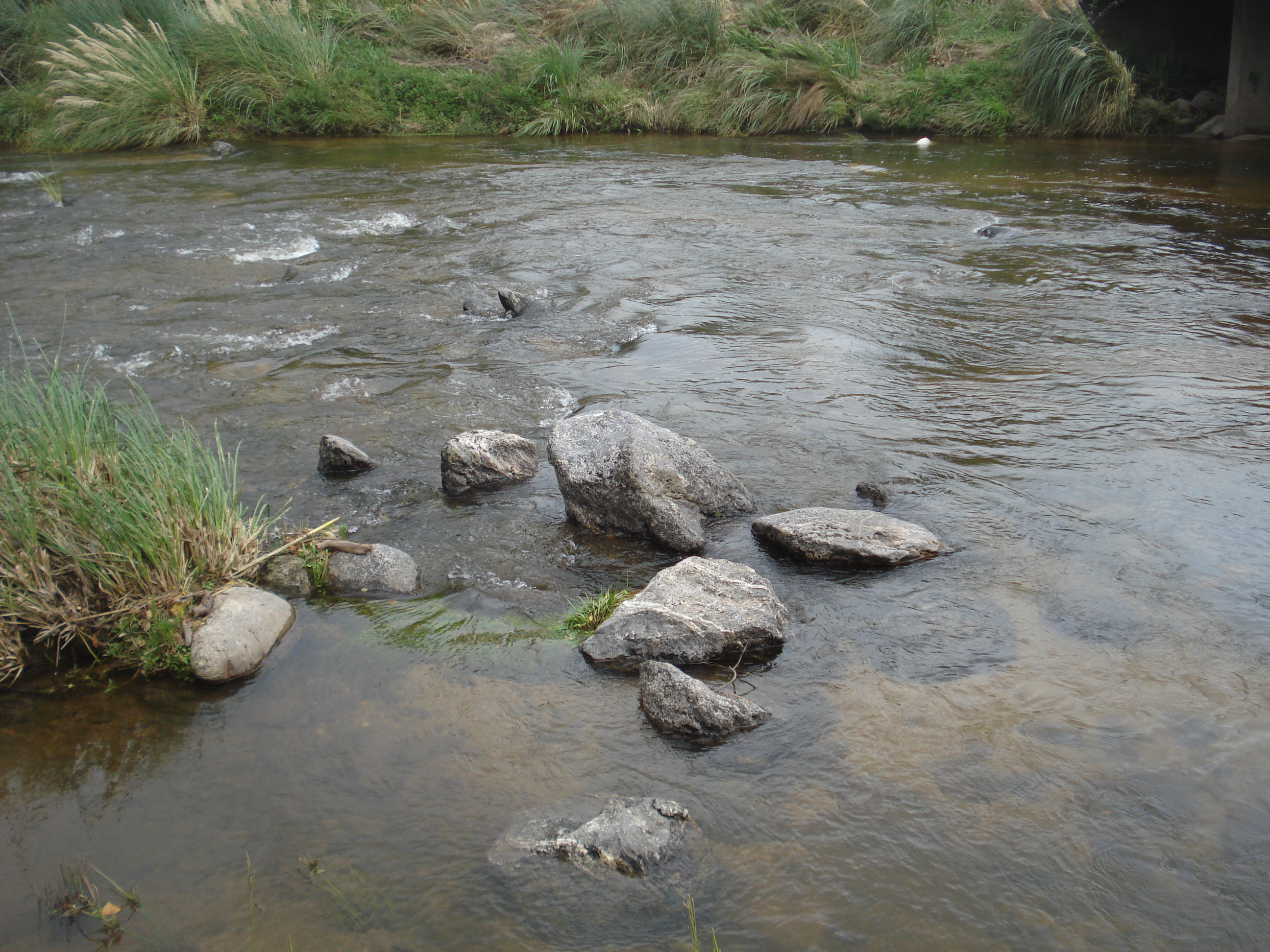 fotos/2011 - Los Reartes/DSC00556.JPG